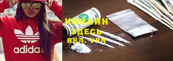 не бодяженный Алексин