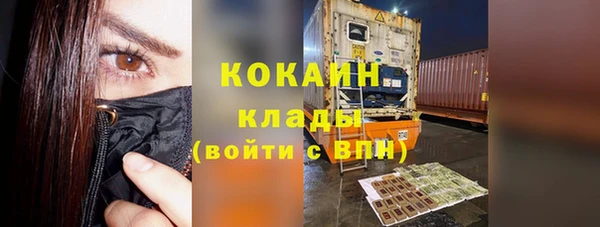 прущие грибы Армянск