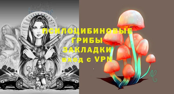 прущие грибы Армянск