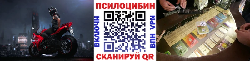 Псилоцибиновые грибы Psilocybe  Оса 